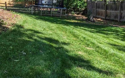 Photo of Eddie D.'s yard after getting lawn care in Centennial, CO