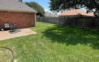 Photo of Allison D.'s yard after getting lawn care in Portland, TX