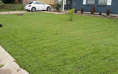 Photo of Kelly G.'s yard after getting lawn care in Fort Worth, TX