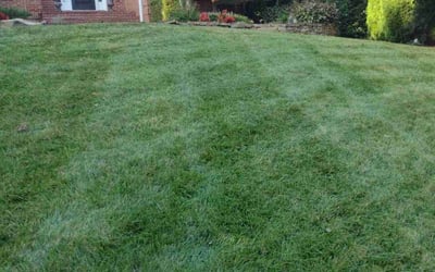 Photo of Amanda R.'s yard after getting lawn care in Rockwood, TN