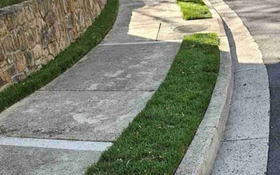 Photo of Richard W.'s yard after getting lawn care in Arlington, VA