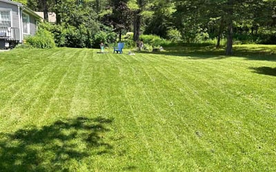 Photo of Julie W.'s yard after getting lawn care in Delmar, NY