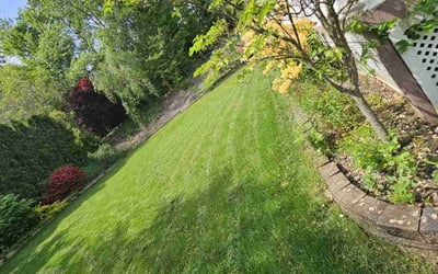 Photo of DeAndre C.'s yard after getting lawn care in Moscow, PA