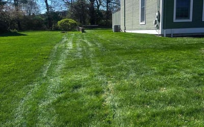 Photo of Marilyn C.'s yard after getting lawn care in Bristol, RI