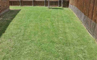 Photo of Jon A.'s yard after getting lawn care in Raleigh, NC