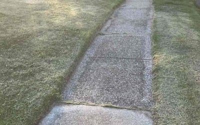 Photo of Sherry H.'s yard after getting lawn care in Maple Shade, NJ