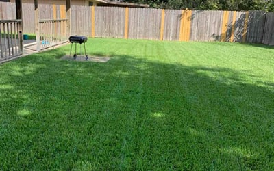 Photo of Rashard I.'s yard after getting lawn care in Pearland, TX