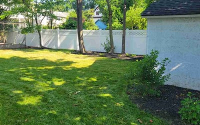 Photo of Chris S.'s yard after getting lawn care in Plainfield, NJ