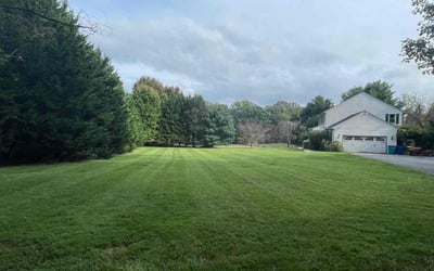Photo of Judith L.'s yard after getting lawn care in Derwood, MD