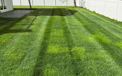 Photo of Ryan B.'s yard after getting lawn care in Chatham, NJ