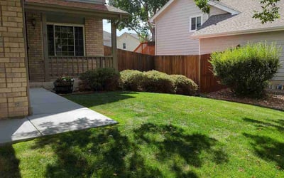 Photo of Jana M.'s yard after getting lawn care in Lafayette, CO