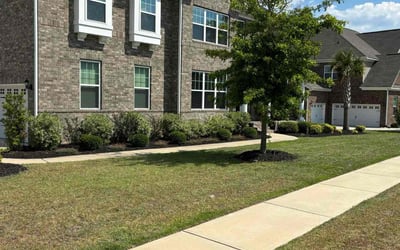 Photo of Dion W.'s yard after getting lawn care in Elgin, SC