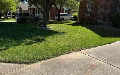 Photo of Terrance K.'s yard after getting lawn care in Austin, TX