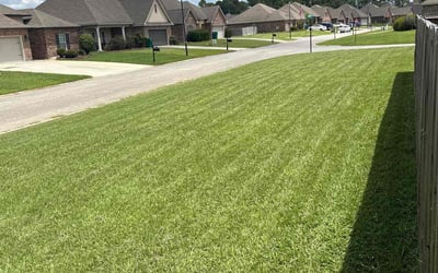 Photo of Toi Y.'s yard after getting lawn care in Fort Pierce, FL