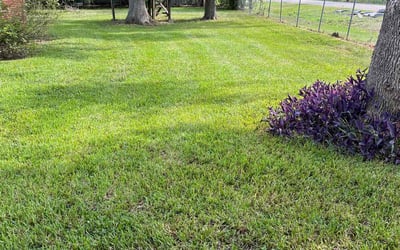 Photo of Scott E.'s yard after getting lawn care in Kingwood, TX