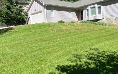 Photo of Lisa N.'s yard after getting lawn care in Niagara Falls, NY