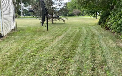 Photo of Evangeline C.'s yard after getting lawn care in Mishawaka, IN