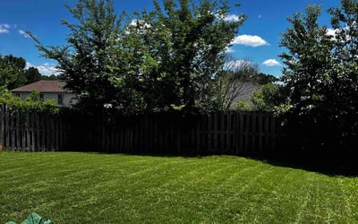 Photo of Adam M.'s yard after getting lawn care in Grovetown, GA