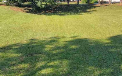 Photo of Frances (Deaf) B.'s yard after getting lawn care in Newnan, GA