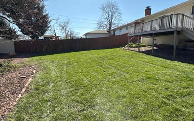 Photo of Celina B.'s yard after getting lawn care in St. Louis, MO