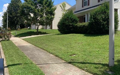 Photo of Porshia C.'s yard after getting lawn care in Crosby, TX
