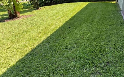 Photo of Kevin J.'s yard after getting lawn care in Bethel, CT