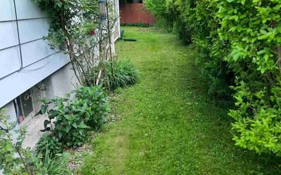 Photo of Judy C.'s yard after getting lawn care in Poughkeepsie, NY