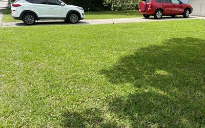 Photo of Joe L.'s yard after getting lawn care in Pompano Beach, FL