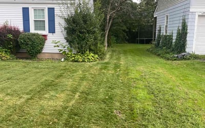 Photo of Linda J.'s yard after getting lawn care in Clinton, CT