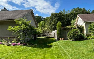 Photo of Ted R.'s yard after getting lawn care in Toledo, OH