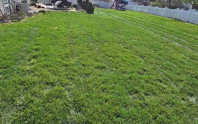 Photo of Gloria H.'s yard after getting lawn care in Streamwood, IL