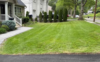 Photo of Matt A.'s yard after getting lawn care in Rochester, NY