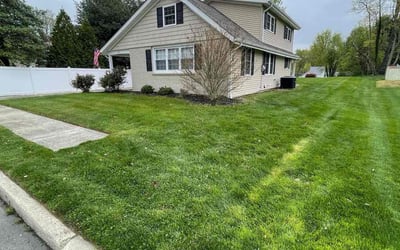 Photo of Melissa J.'s yard after getting lawn care in Mount Holly, NJ