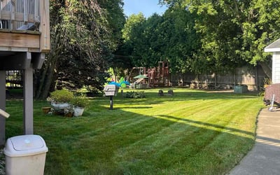 Photo of Shana L.'s yard after getting lawn care in Waukegan, IL