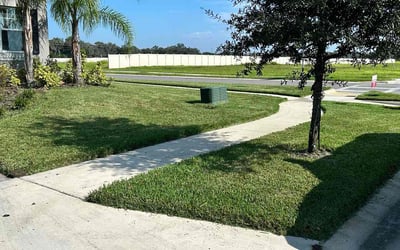 Photo of Michelle N.'s yard after getting lawn care in Pebble Creek, FL