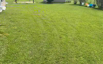Photo of Maria B.'s yard after getting lawn care in Conway, SC