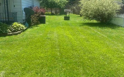 Photo of Rachel T.'s yard after getting lawn care in Logan, OH