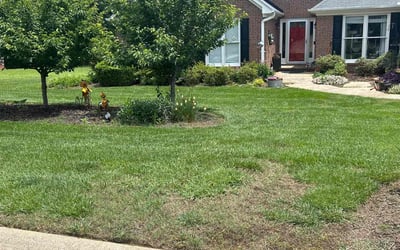 Photo of Karen J.'s yard after getting lawn care in Simpsonville, SC