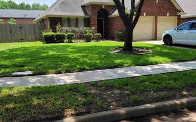 Photo of Terry W.'s yard after getting lawn care in Fishkill, NY