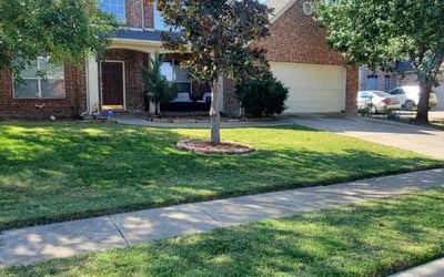 Photo of Tom J.'s yard after getting lawn care in Little Elm, TX