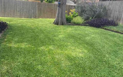 Photo of Tim S.'s yard after getting lawn care in Middletown, PA