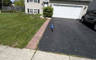 Photo of Ethan P.'s yard after getting lawn care in Lakewood, WA