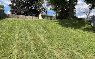Photo of Eddie H.'s yard after getting lawn care in Hawley, PA