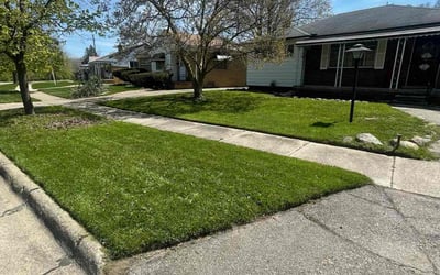 Photo of Clifton L.'s yard after getting lawn care in Inkster, MI