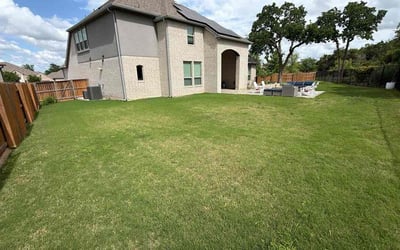 Photo of Dave A.'s yard after getting lawn care in Austin, TX