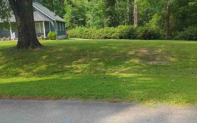 Photo of Dax W.'s yard after getting lawn care in Hendersonville, TN