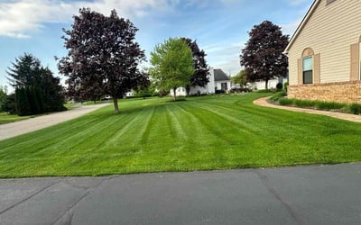 Photo of Jen K.'s yard after getting lawn care in South Lyon, MI