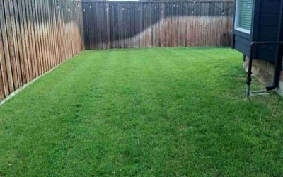 Photo of Gill D.'s yard after getting lawn care in Arlington Heights, IL