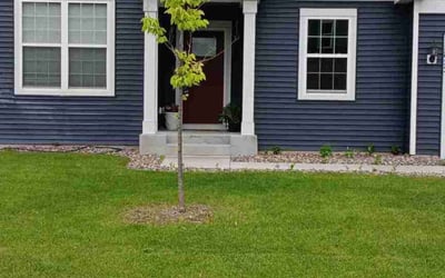 Photo of Misty Z.'s yard after getting lawn care in Plymouth, MN