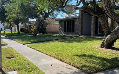 Photo of Courtney W.'s yard after getting lawn care in Portland, TX